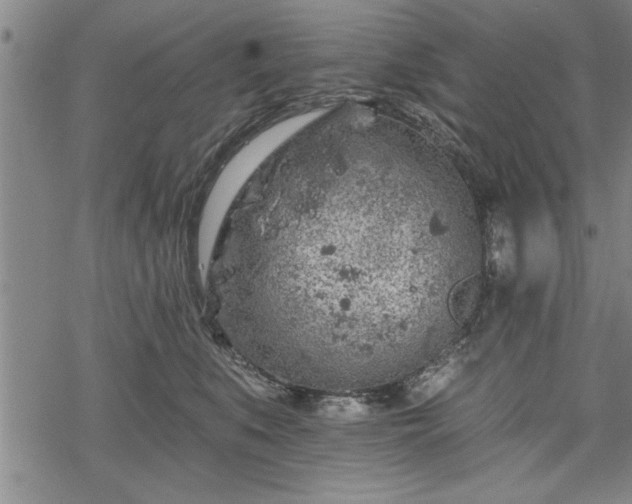 X0000069380519200605150921