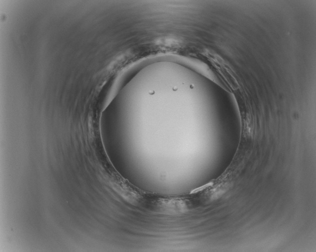 X0000069380520200605150921