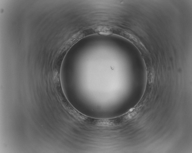 X0000069380521200605150921