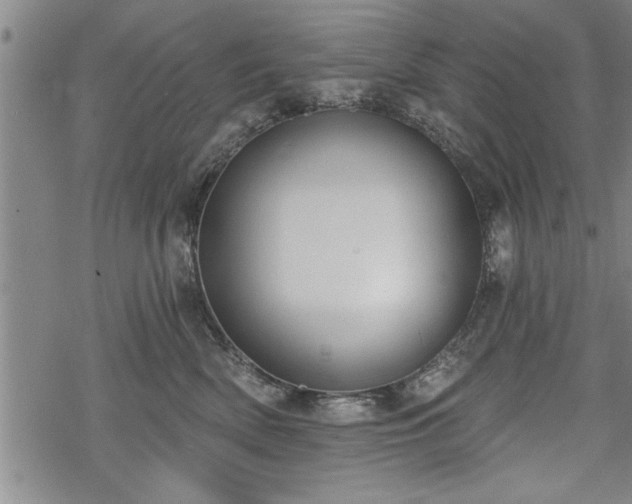 X0000069380522200605150921