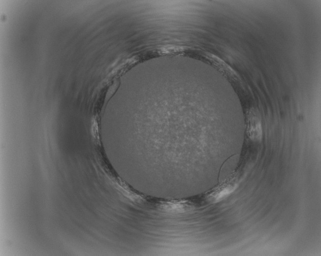 X0000069380523200605150921