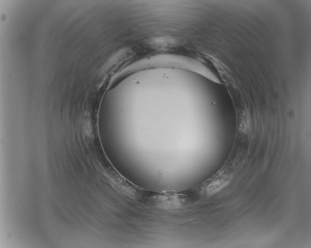 X0000069380524200605150921