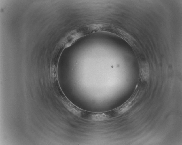 X0000069380525200605150921