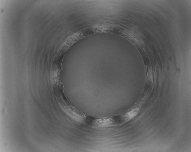 X0000069380526200605150921