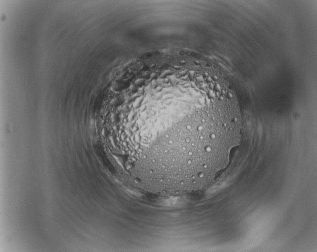 X0000069380527200605150920