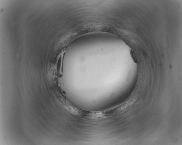 X0000069380528200605150920