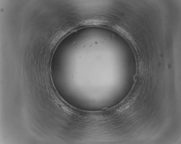 X0000069380529200605150920