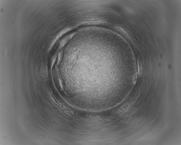 X0000069380531200605150920