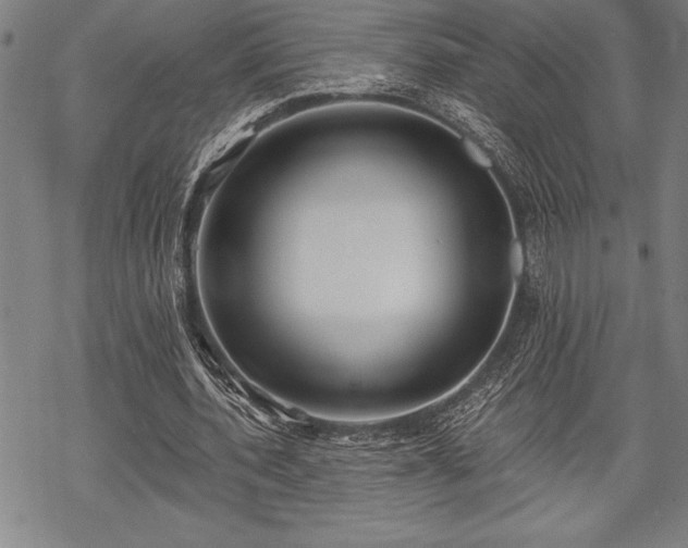 X0000069380532200605150920