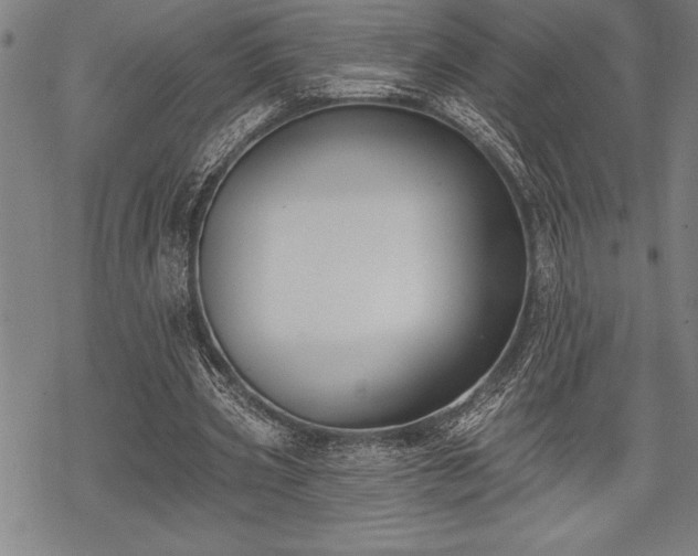 X0000069380533200605150920