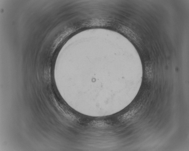 X0000069380534200605150920