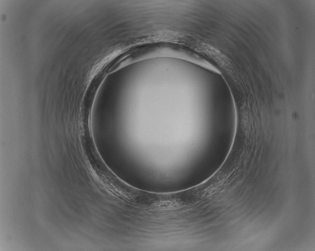 X0000069380536200605150920