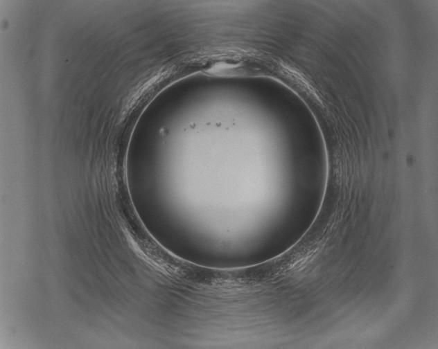 X0000069380538200605150920