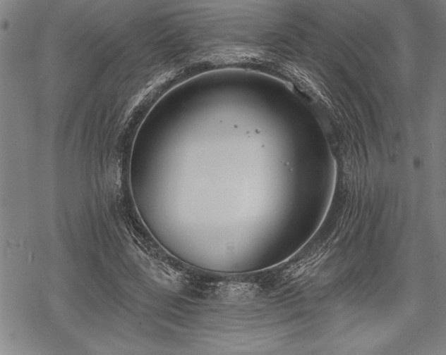 X0000069380539200605150920