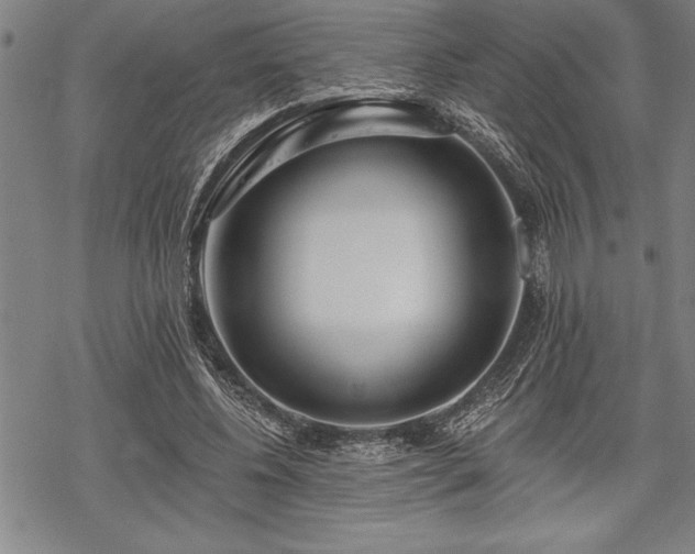 X0000069380540200605150920