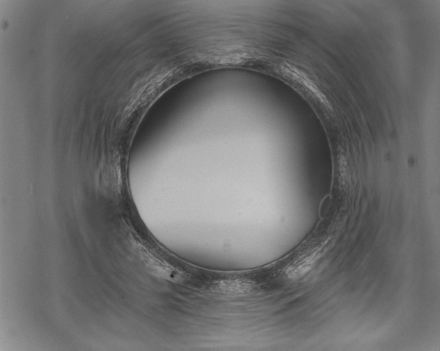 X0000069380541200605150920