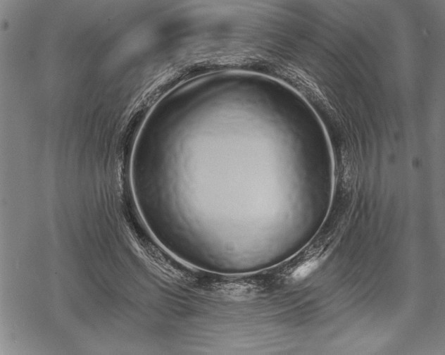 X0000069380542200605150920