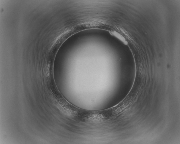 X0000069380543200605150920