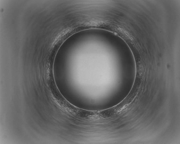 X0000069380544200605150920