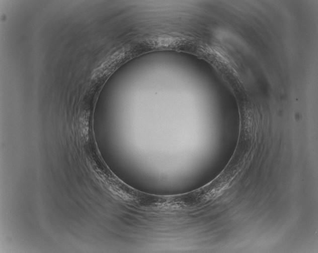 X0000069380545200605150920