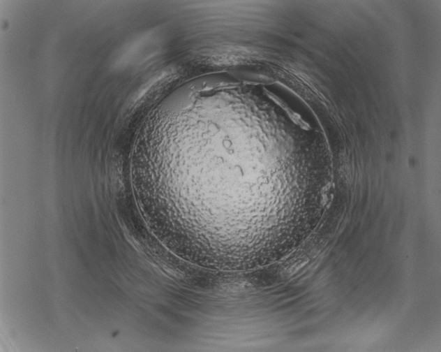 X0000069380547200605150920