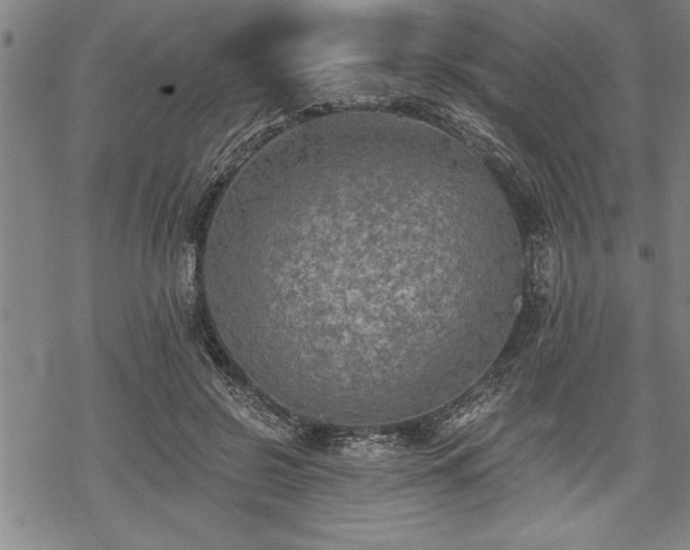 X0000069380550200605150920