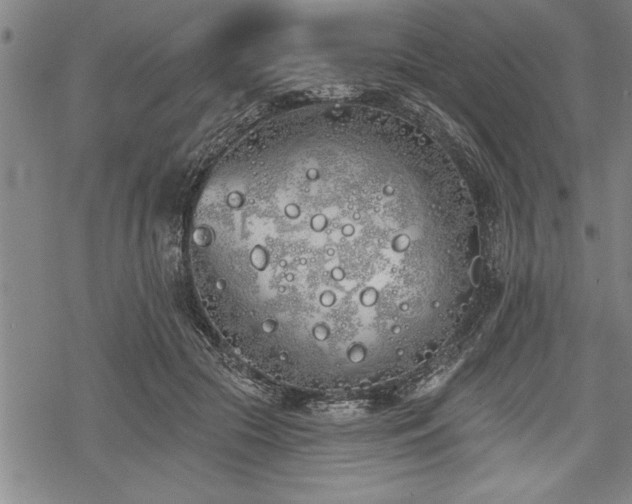 X0000069380553200605150920