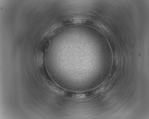 X0000069380554200605150920