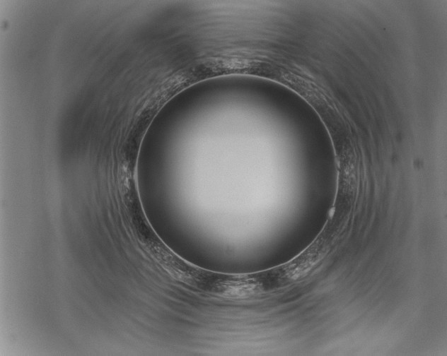 X0000069380555200605150920