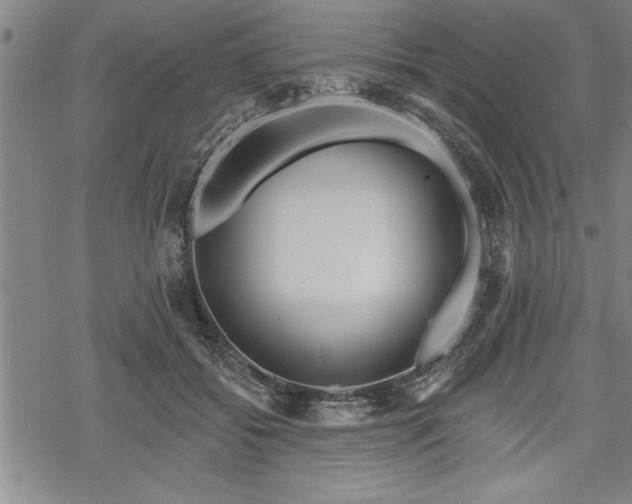 X0000069380556200605150920