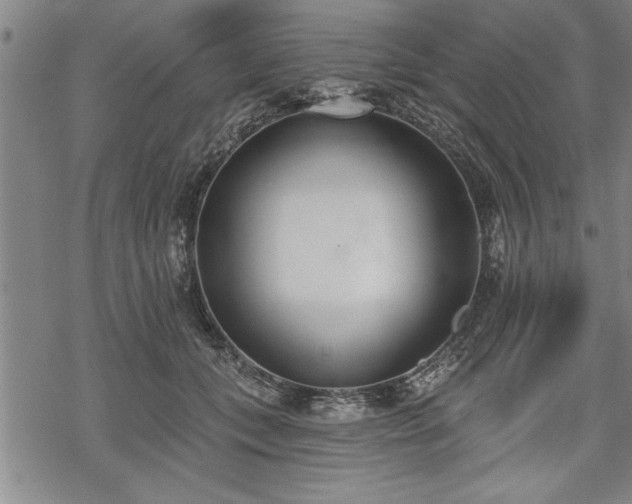 X0000069380559200605150920