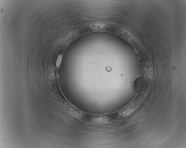 X0000069380561200605150920