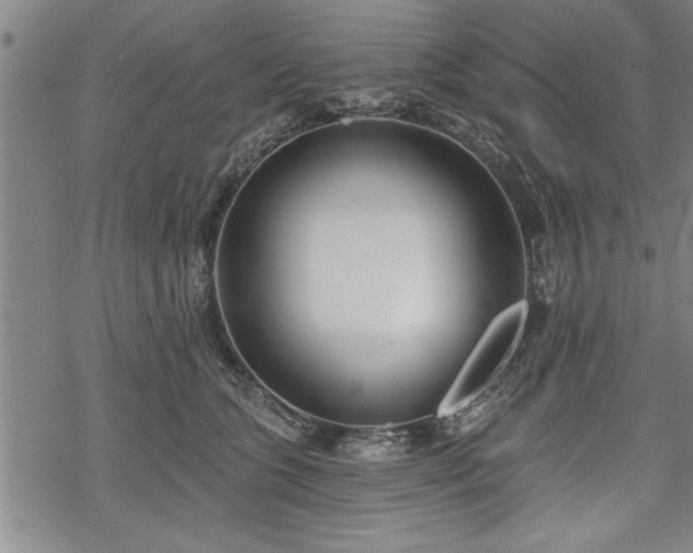 X0000069380563200605150920