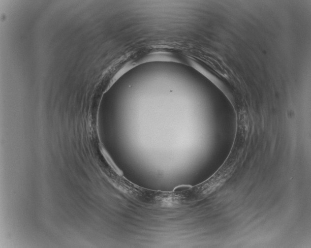 X0000069380564200605150920