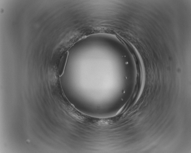 X0000069380566200605150920