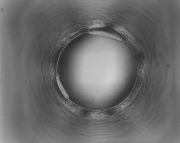 X0000069380568200605150920