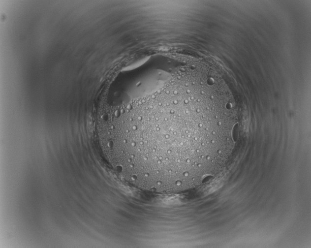 X0000069380569200605150920