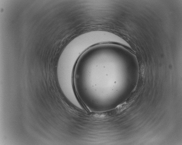 X0000069380570200605150920