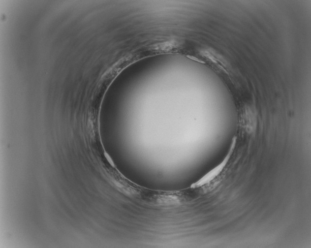 X0000069380572200605150920