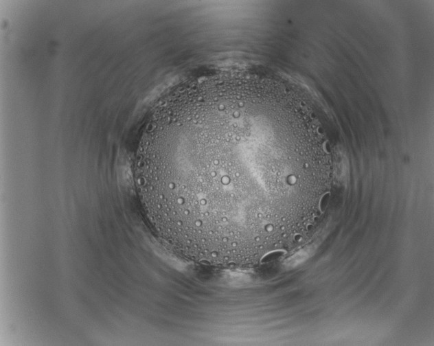 X0000069380573200605150920