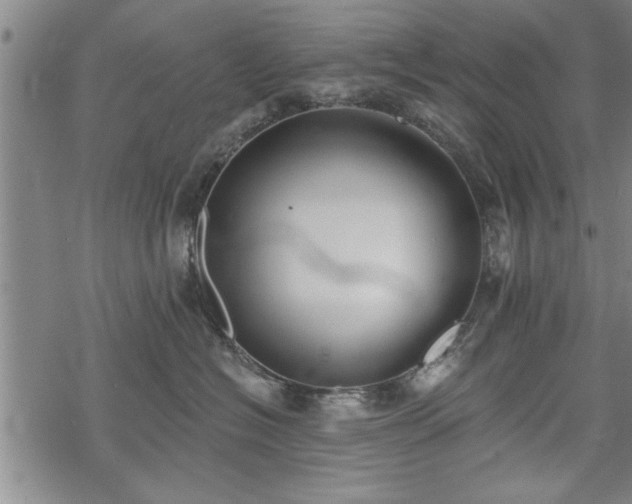 X0000069380574200605150920