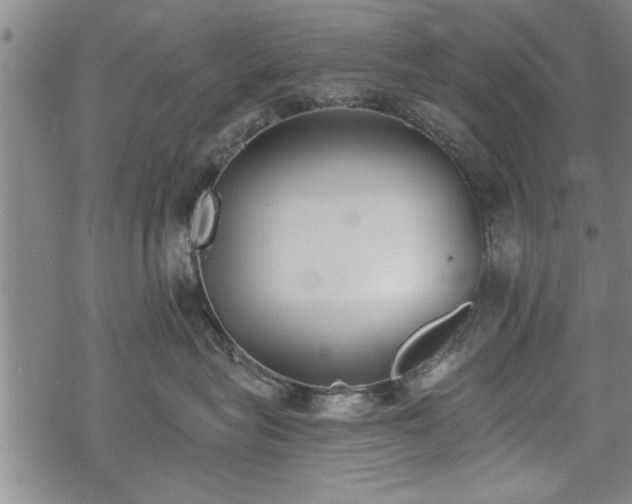 X0000069380575200605150920