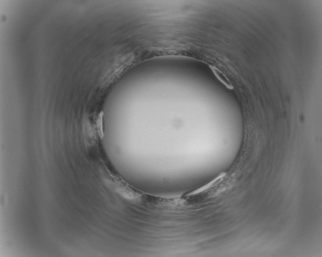 X0000069380576200605150920