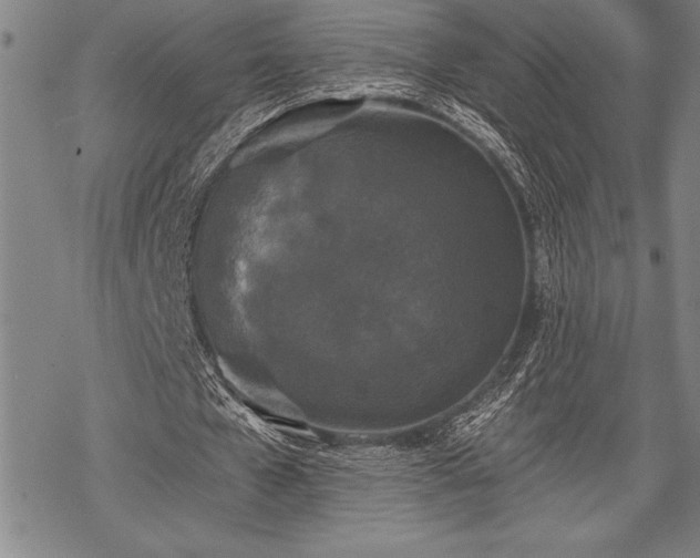 X0000069380577200605150920