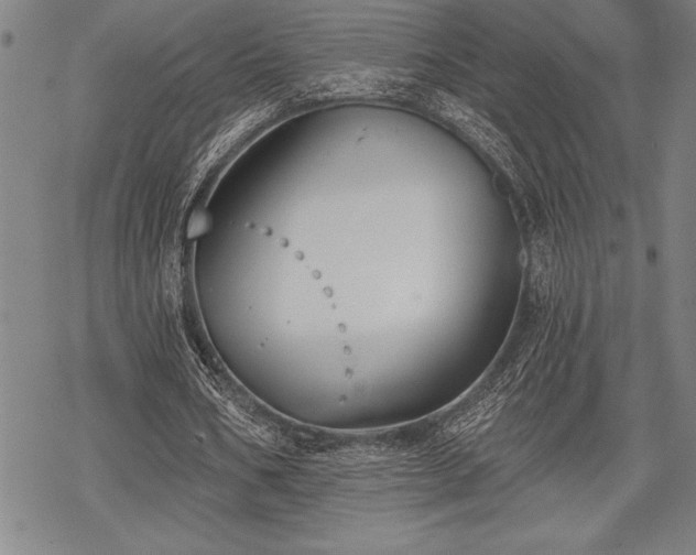 X0000069380578200605150920