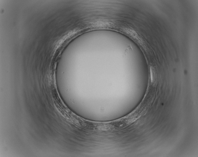 X0000069380579200605150920