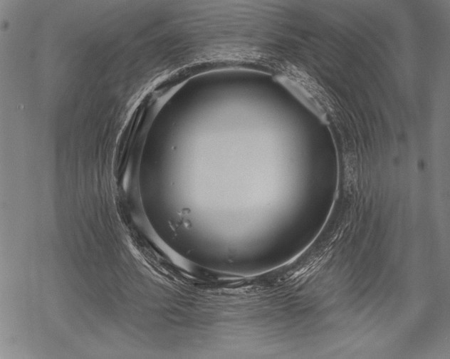 X0000069380580200605150920