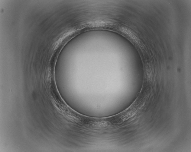 X0000069380583200605150920