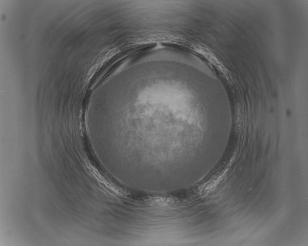 X0000069380585200605150920