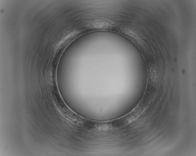 X0000069380587200605150920